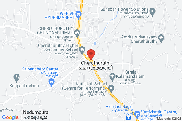 YAMAHA FZS V2 location  Cheruthuruthi Thrissur KL
