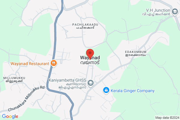 R29W AR LAKE VIEW ROMANTIC location  Wayanad Wayanad KL