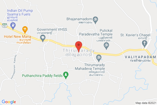 Live Plants,  Indoor Plants (Babies) location  Thirumarady, Kerala 686662, India