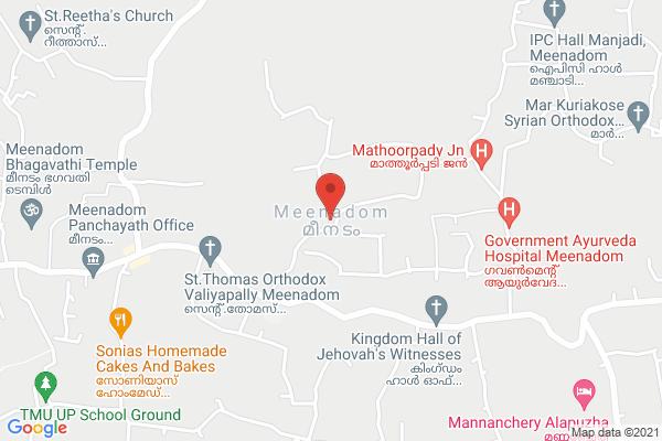 GST +Tally, Medical Coding location  Meenadom, Kerala, India