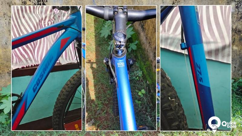 buy cosmic cycles online