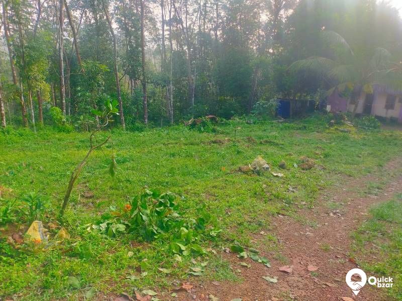 PLOT FOR SALE