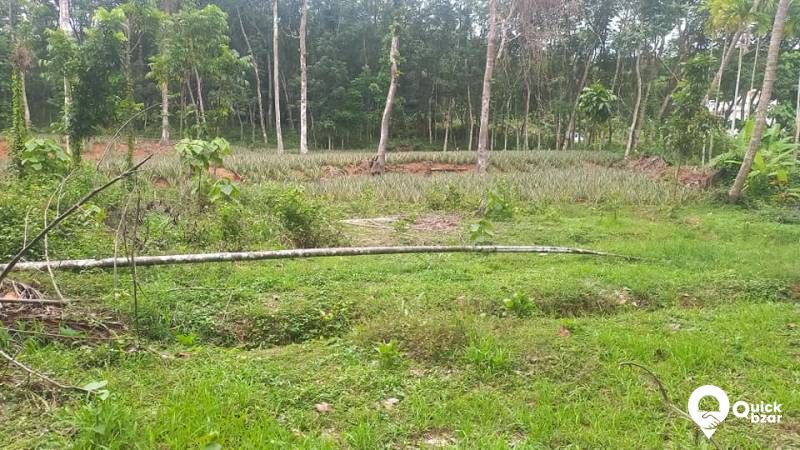 PLOT FOR SALE