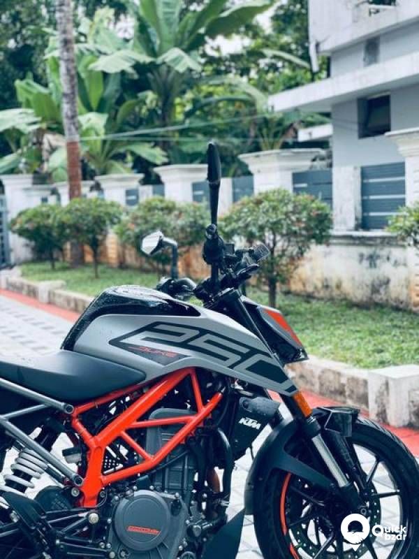 DUKE 250 BS6