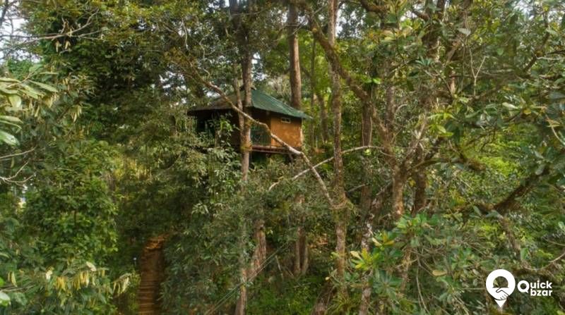 QB Stay-R43M EED TENT HOUSE