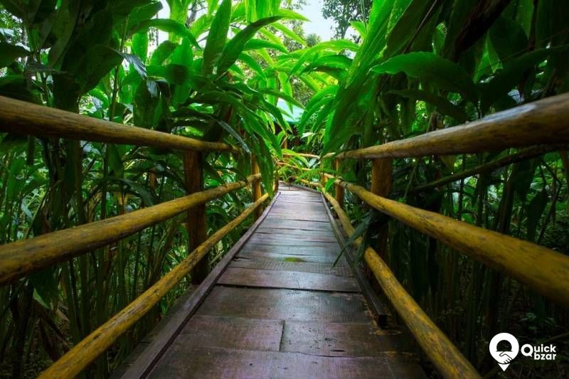 R26M DC Tea Garden Honeymoon Cottage
