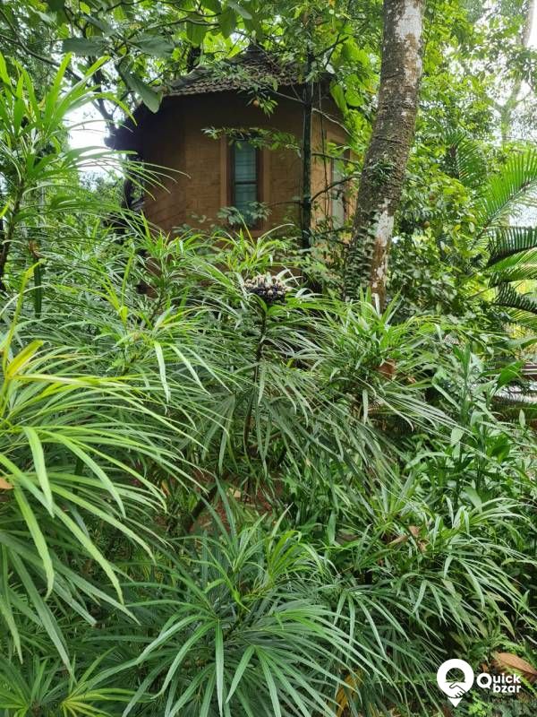 R1KT RFAR COTTAGE