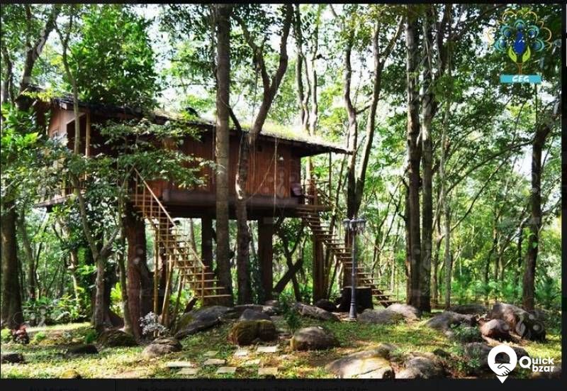 R2TR EGR TREE HUT