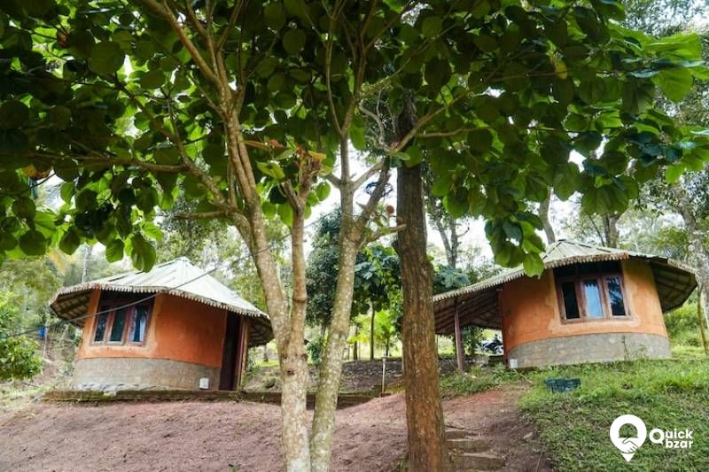 R181M PR NATURAL HUT