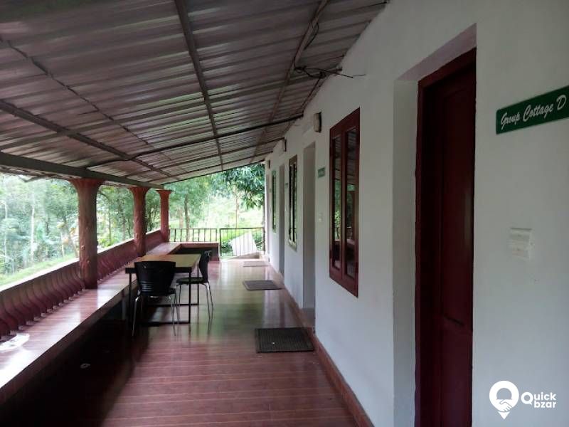 R181M PR NATURAL HUT