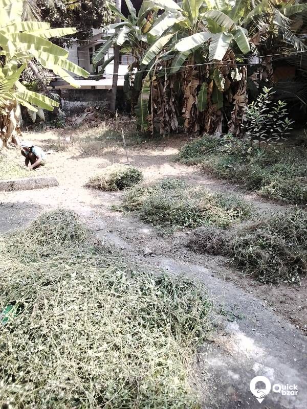 Ideal residential property  near to Mankave Kozhikode.