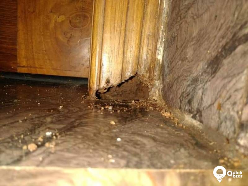 Anti Termite Treatment