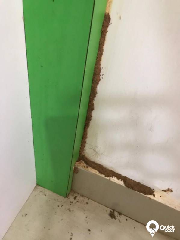 Anti Termite Treatment